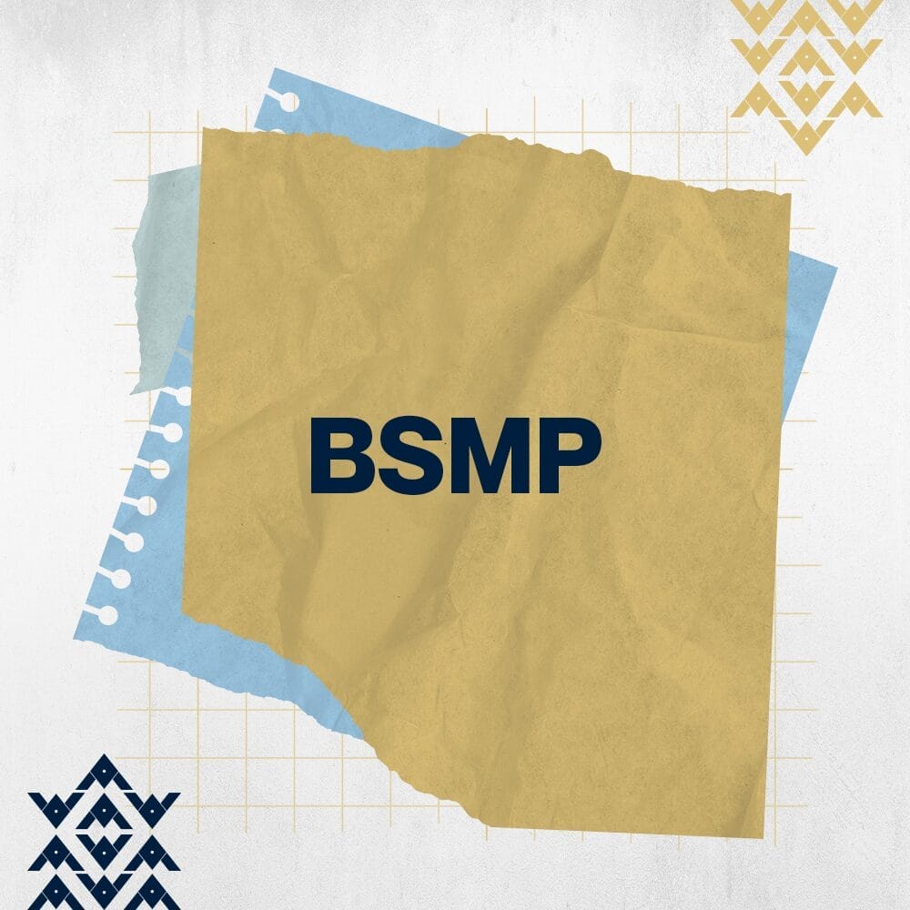 شهادة محترف بطاقة الأداء المتوازن (BSMP)